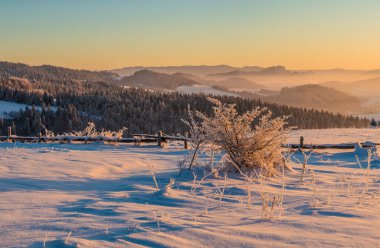 Gün doğumunda son derece soğuk dağ manzarası. Pieniny Dağı, Polonya