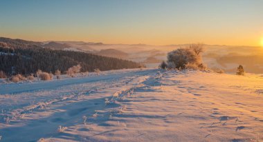 Gün doğumunda son derece soğuk dağ manzarası. Pieniny Dağı, Polonya