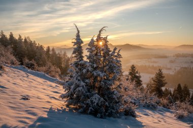 Polonya 'daki Pieniny dağlarında kış gündoğumunu gösteren güzel kış manzarası