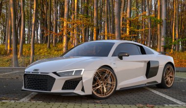 Audi R8. Pistte doğmuş, yol için yaratılmış. 