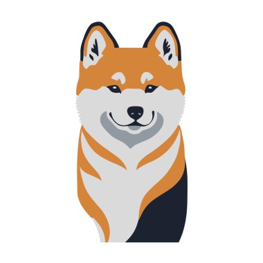 Akita 'nın çizgi film çizimi, şirin köpek, logo olarak kullanılabilir, düz tasarım.