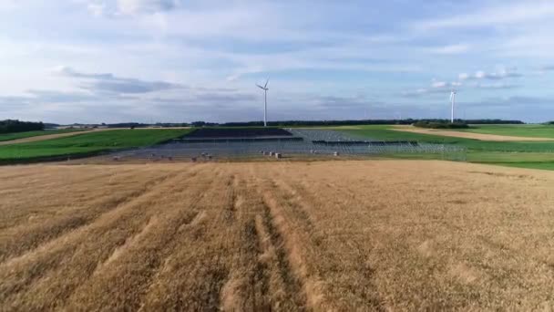Zonneboerderij Bouwen Zonne Energie Panelen Luchtfoto Van Fotovoltaïsche Windturbines Zonnecelcentrale — Stockvideo