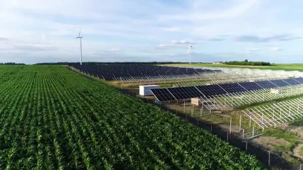 Будівництво Сонячної Ферми Панелі Сонячної Енергії Аерофотозйомка Фотоелектричних Вітрових Турбін — стокове відео