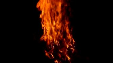Doğada kamp ateşi. Akşamları ya da gece kamp ateşinde şenlik ateşi. Ateş alevleri.