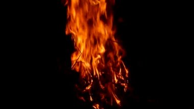 Doğada kamp ateşi. Akşamları ya da gece kamp ateşinde şenlik ateşi. Ateş alevleri.