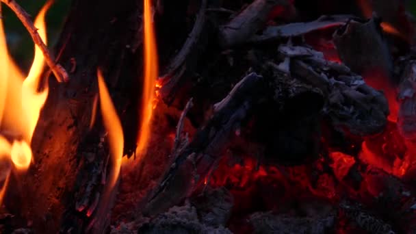 Ognisko Łonie Natury Ognisko Kempingu Wieczorem Lub Nocy Płomienie Ognia — Wideo stockowe
