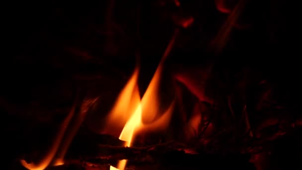 Feu Camp Dans Nature Feu Camp Soir Nuit Flammes Feu — Video