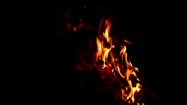 Hoguera Naturaleza Hoguera Camping Por Noche Por Noche Llamas Fuego — Vídeos de Stock