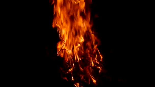 Doğada Kamp Ateşi Akşamları Gece Kamp Ateşinde Şenlik Ateşi Ateş — Stok video