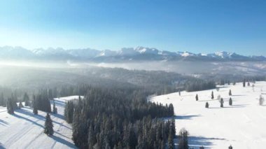 Dağlarda kış manzarası, hava manzarası. Karla kaplı ağaçlar ve dağlar geniş görüşlü drone 'lar. Çam ağaçları ve dağ manzaralı muhteşem beyaz kış manzarası. Kayalık dağlarla Destansı Alp manzarası