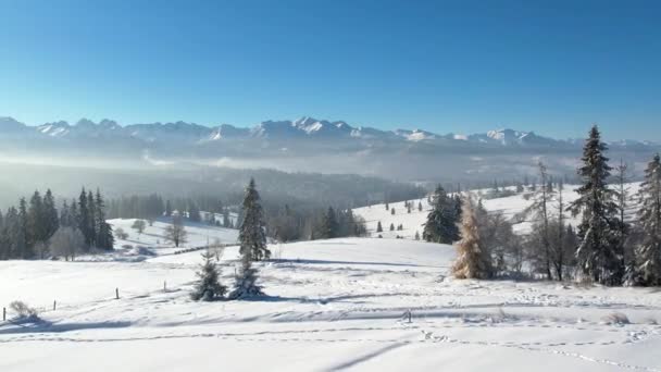 山の中の冬の風景 空からの眺め 雪に覆われた木々とタトラの山々は無人機の広い景色を眺めています 松の木と山の素晴らしい白い冬の景色 — ストック動画