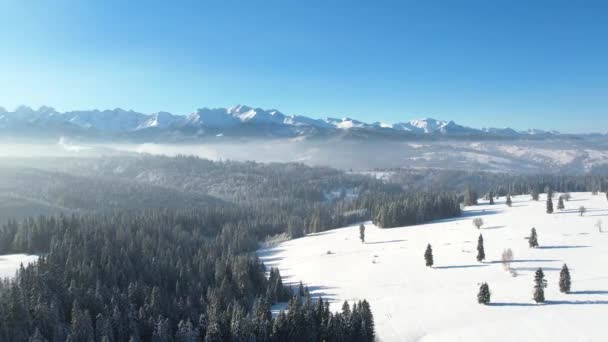 Paisaje Invernal Las Montañas Vista Aérea Árboles Cubiertos Nieve Montañas — Vídeo de stock