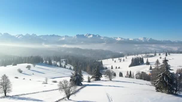 山の中の冬の風景 空からの眺め 雪に覆われた木々と山々はドローンを広々と眺めている 松の木と山で美しい白い冬の風景 タトラ山脈のエピックビュー — ストック動画