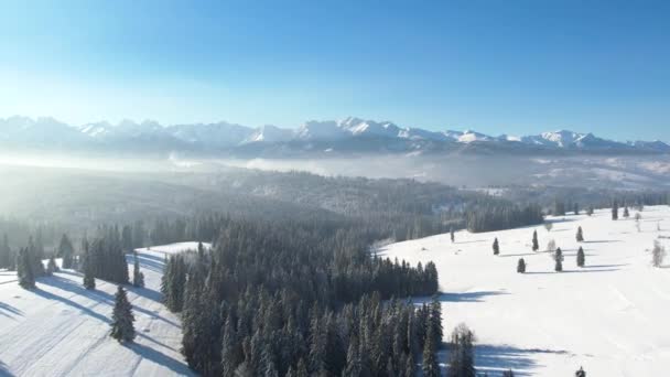 Winterlandschap Bergen Uitzicht Vanuit Lucht Sneeuw Bedekte Bomen Bergen Drone — Stockvideo