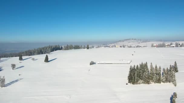 山の中の冬の風景 空からの眺め 雪に覆われた木々と山々はドローンを広々と眺めている 松の木と山の素晴らしい白い冬の景色 — ストック動画