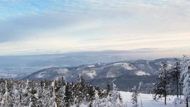 山の素晴らしい冬の風景でスキーツアー 空中ビュー 雪に覆われた木々と山々の間のスキーツアー 松の木と山を持つ白い冬の風景 冬季スポーツコンセプト — ストック動画