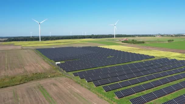 Solar Farm Turbinas Eólicas Vista Aérea Painéis Energia Solar Fotovoltaica — Vídeo de Stock