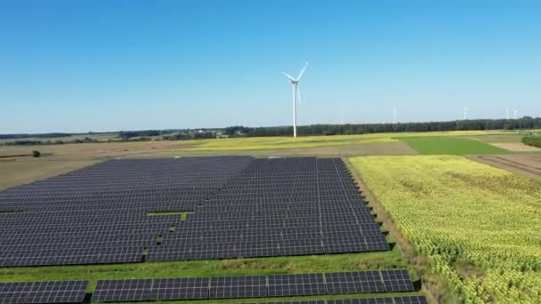 太阳能农场和风力涡轮机航空视图 太阳能电池板 光伏和风力发电场 靠近农作物的太阳能发电厂 可持续资源和替代电力的概念 — 图库视频影像