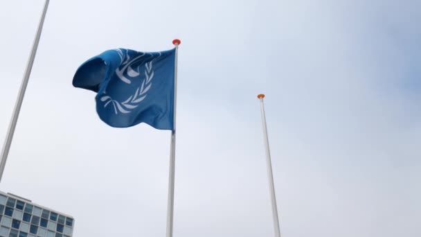 Haia Holanda Maio 2022 Tribunal Penal Internacional Icc Tem Jurisdição — Vídeo de Stock