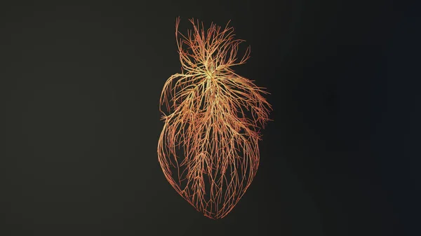 Lidské Srdce Linií Mozková Lékařská Koncepce Vykreslování — Stock fotografie