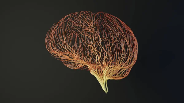 Cerebro Humano Hecho Líneas Concepto Médico Cerebral Renderizado — Foto de Stock