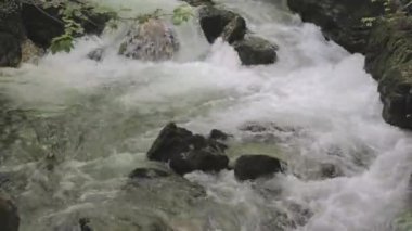 Taşların etrafında akan su. Dağlarda bir dere. Taubenlochschlucht, Taubenloch Gorge, Biel / Bienne, İsviçre