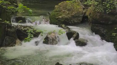 Taşların etrafında akan su. Dağlarda bir dere. Taubenlochschlucht, Taubenloch Gorge, Biel / Bienne, İsviçre