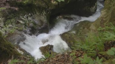 Taşların etrafında akan su. Dağlarda bir dere. Taubenlochschlucht, Taubenloch Gorge, Biel / Bienne, İsviçre