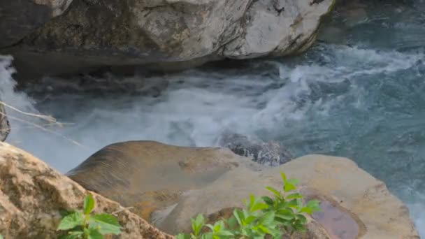 白い泡の表面パターンを閉じると ホワイトウォーター 石の周りを流れる水 Linth River Lintal Canton Glarus スイス — ストック動画