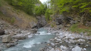 Dar bir geçitteki kayaların arasındaki nehir. Su akıntısı kayaların kenarları arasında sıkışır. Linthschlucht, Linth Gorge, Linthal, Glarus Kantonu, İsviçre