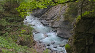 Dar bir geçitteki kayaların arasındaki nehir. Su akıntısı kayaların kenarları arasında sıkışır. Linthschlucht, Linth Gorge, Linthal, Glarus Kantonu, İsviçre