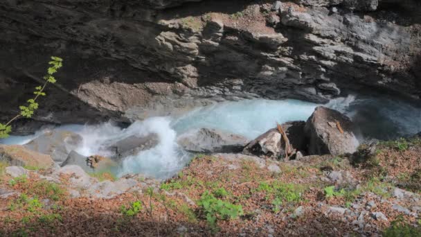 狭い峡谷の岩の間の川 水のストリームは 岩の側面の間に圧迫されます Linthschlucht Linth Gorge Linthal Canton Glarus スイス — ストック動画
