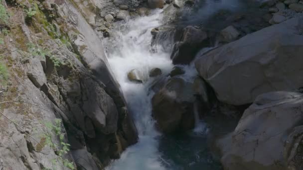 Kalter Und Schneller Gebirgsfluss Der Felsen Fließt Und Weißen Schaum — Stockvideo