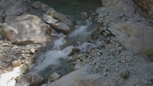 寒さと速い山の川の岩の周りを通過し 白い泡の渦を作る ヒンターライン川 Roffla渓谷 Rofflaschlucht アンシカ カントン グラウンデン スイス — ストック動画