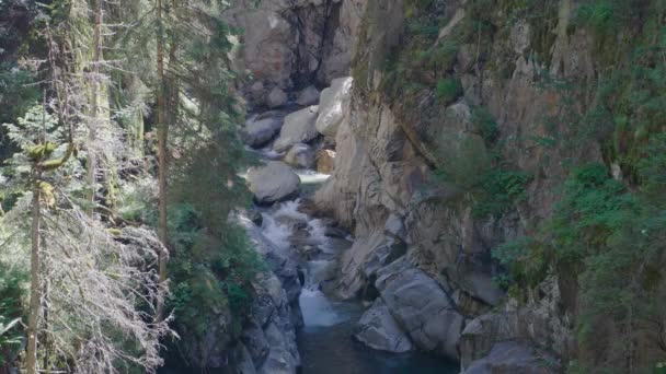 Dar Bir Geçitteki Kayaların Arasındaki Nehir Akıntısı Kayaların Kenarları Arasında — Stok video