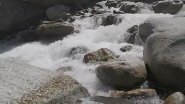 Soğuk Hızlı Dağ Nehri Kayaların Etrafından Geçiyor Beyaz Köpük Girdapları — Stok video