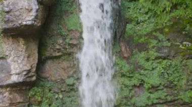 Dağlarda şelale. Su kayadan düşer. Şelale Giessen, Kanton Baselland, İsviçre.