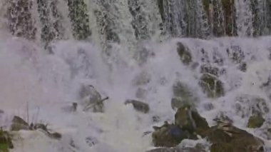 Dağlarda şelale. Düşen su yaklaşıyor. Şelaleden su damlıyor. Naefels yakınlarındaki Rauti şelalesi, Kanton Glarus, İsviçre.