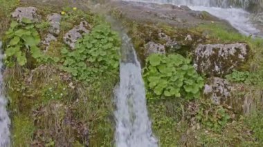 Dağlarda şelale. Düşen su yaklaşıyor. Şelaleden su damlıyor. Naefels yakınlarındaki Traenkibach şelalesi, Canton Glarus, İsviçre.