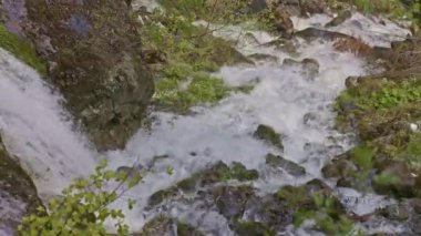 Dağlarda şelale. Düşen su yaklaşıyor. Şelaleden su damlıyor. Naefels yakınlarındaki Traenkibach şelalesi, Canton Glarus, İsviçre.
