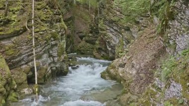 İsviçre 'de Unterwasser' daki Thur şelalesinde küçük bir nehir.