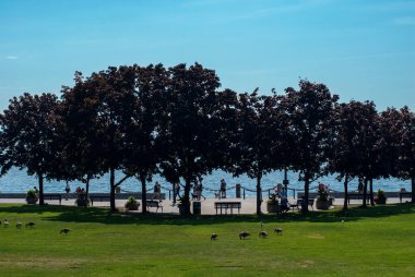 Kanada, Burlington 'daki Spencer Smith Park' tan göl manzarası. İnsanlar set boyunca yürüyorlar. Kanada kazları çimenlerde yürüyor.