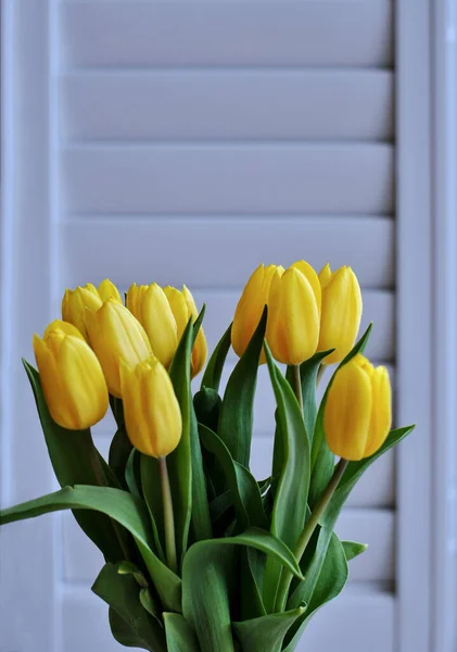 A vase of yellow tulips with green leaves in front of a white wall. A bouquet of yellow tulips.