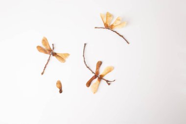 Çocuklar sanat projesi yusufçuk doğal malzemelerden, üst görünüm