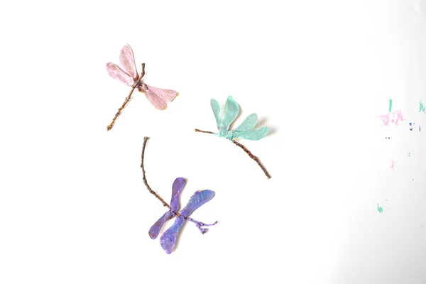 Kids Art Project Dragonfly Natural Materials Top View — Stock Photo, Image