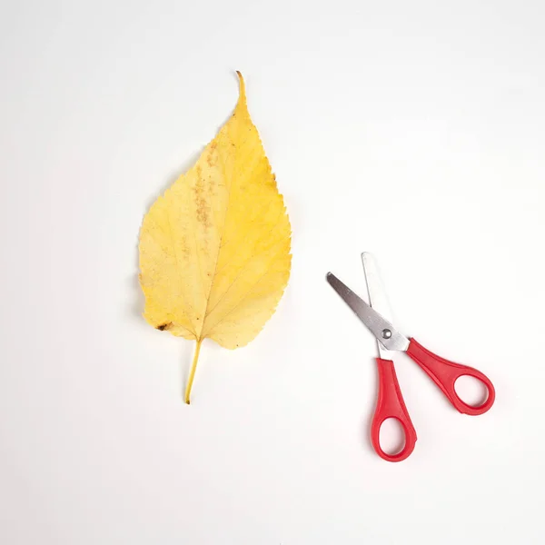 Krok Krokem Instrukce Podzimní Příroda Řemeslo Pro Děti Opustit Nůžky — Stock fotografie