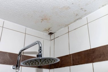 Banyo tavanında küf oluşumunun başlangıcı