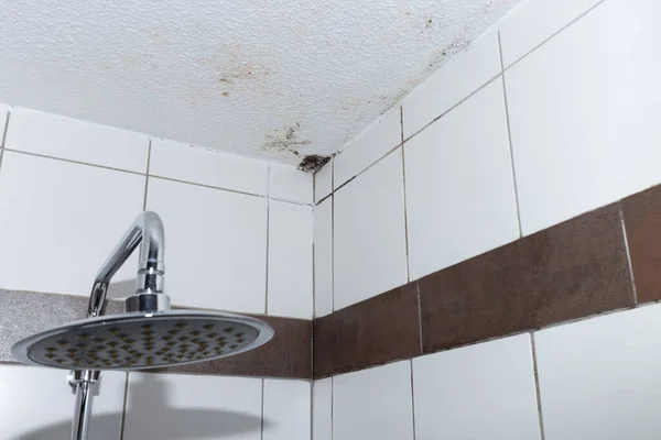 mold in the house, ceiling moisture and moist bathroom wall, selective focus