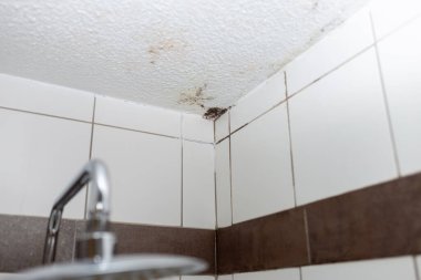 Mold house ceiling moisture. Simple, modern style, moist wall in bathroom, selective focus,