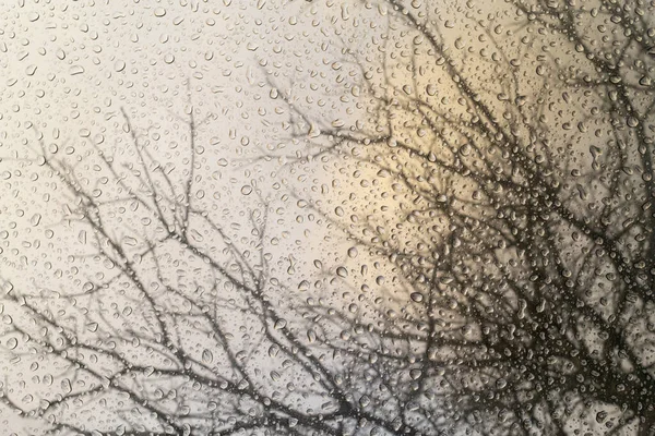 Дождливая Погода Абстрактный Размытый Фон Каплями — стоковое фото